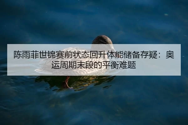 chen-yu-fei-shi-jin-sai-qian-zhuang-tai-hui-sheng-ti-neng-chu-bei-cun-yi-ao-yun-zhou-qi-mo-duan-de-ping-heng-nan-ti-2-956.jpg